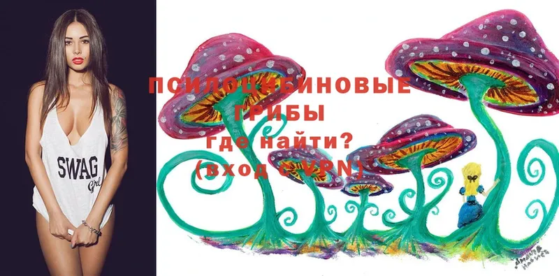 Галлюциногенные грибы Magic Shrooms Бородино